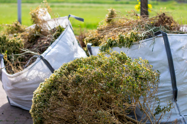 Best Commercial Junk Removal  in Arroyo Grande, CA